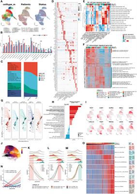 ADGRE5-centered Tsurv model in T cells recognizes responders to neoadjuvant cancer immunotherapy